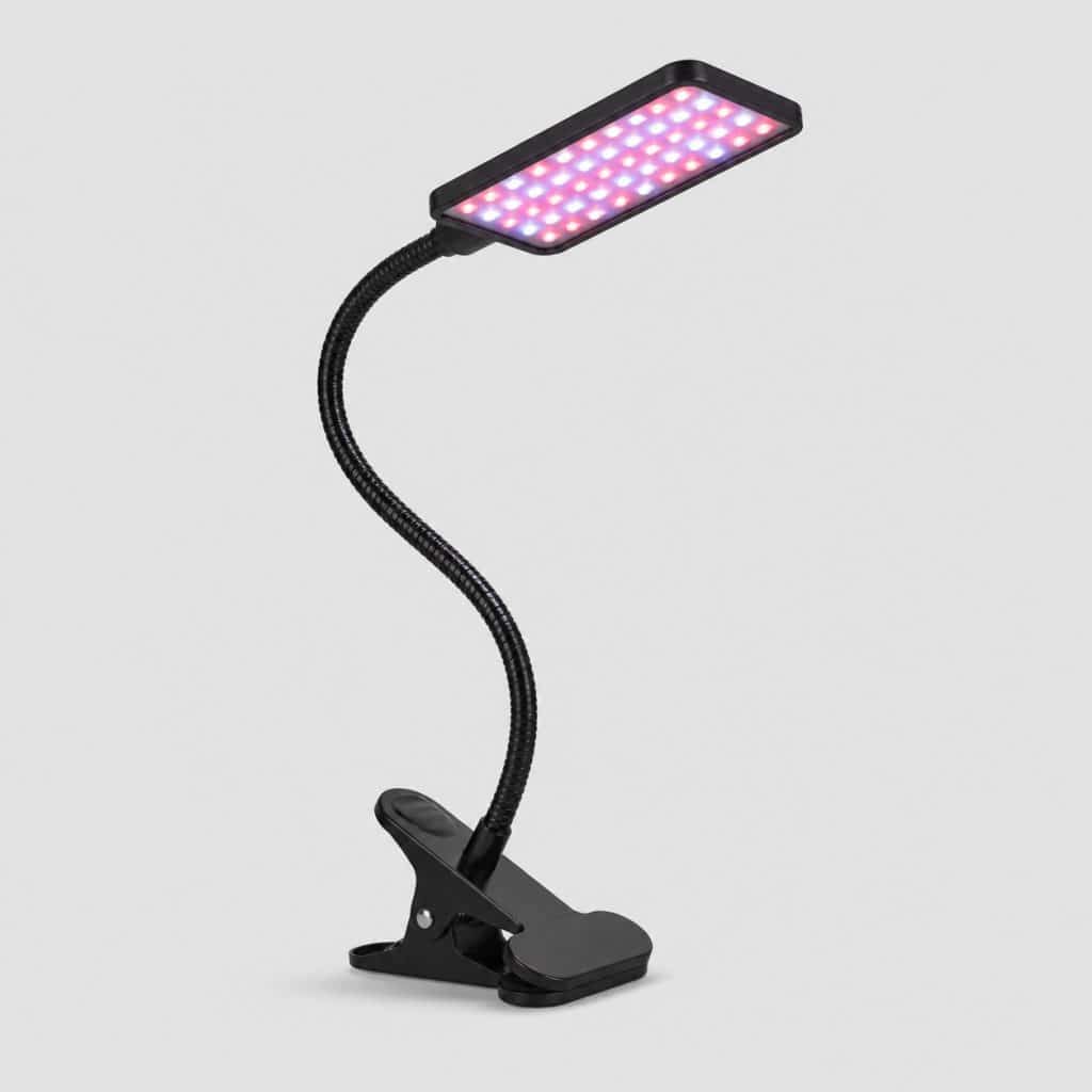 Lampe LED horticole au-dessus de plantes d'intérieur